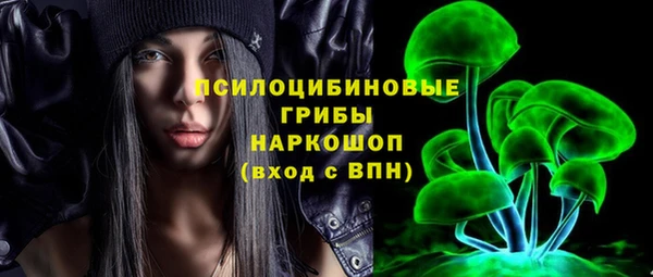 дмт Алзамай