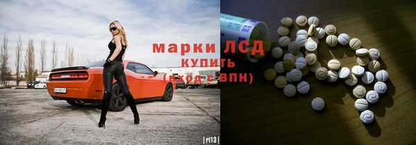 дмт Алзамай