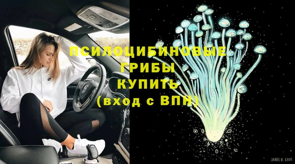 дмт Алзамай